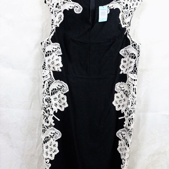 Meet your Posher, Annette - Picture 6 of 8